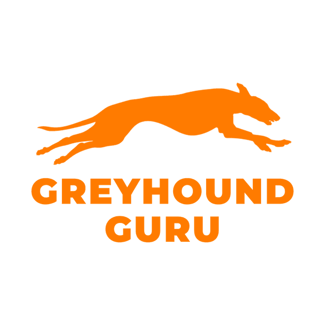 Greyhound Guru